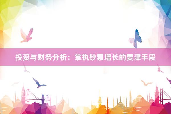 投资与财务分析：掌执钞票增长的要津手段