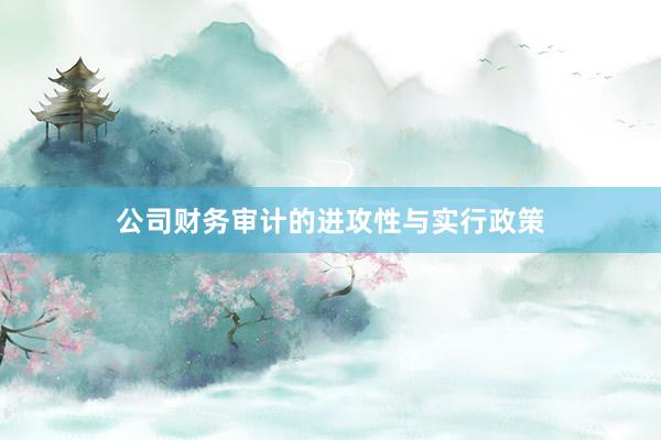 公司财务审计的进攻性与实行政策