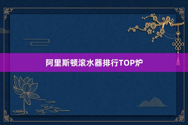 阿里斯顿滚水器排行TOP炉